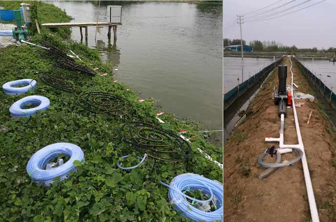 水产养殖罗茨妖精视屏黄色软件