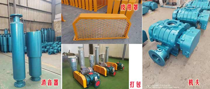 三叶罗茨妖精视屏黄色软件（皮带型）实拍