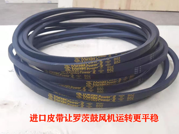 罗茨鼓妖精视屏黄色软件皮带温度过热的原因