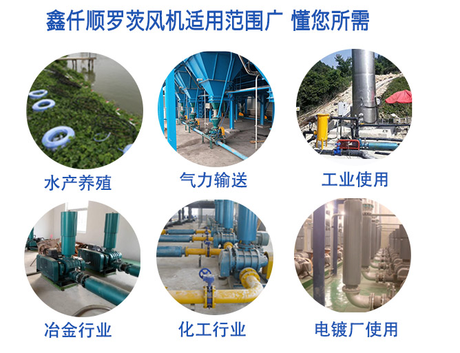 污水处理曝气罗茨妖精视屏黄色软件适用范围广