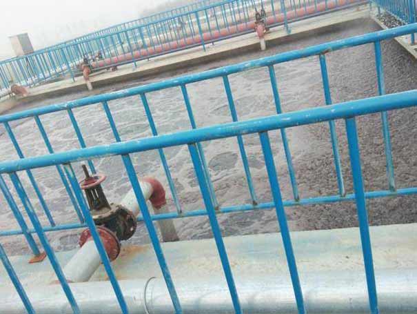 罗茨妖精视屏黄色软件污水处理案例