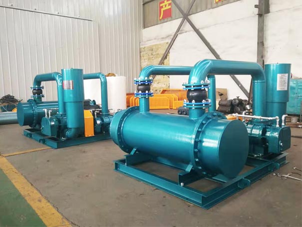 双级串联罗茨妖精视屏黄色软件工厂实拍图 双级串联罗茨鼓妖精视屏黄色软件(图2)